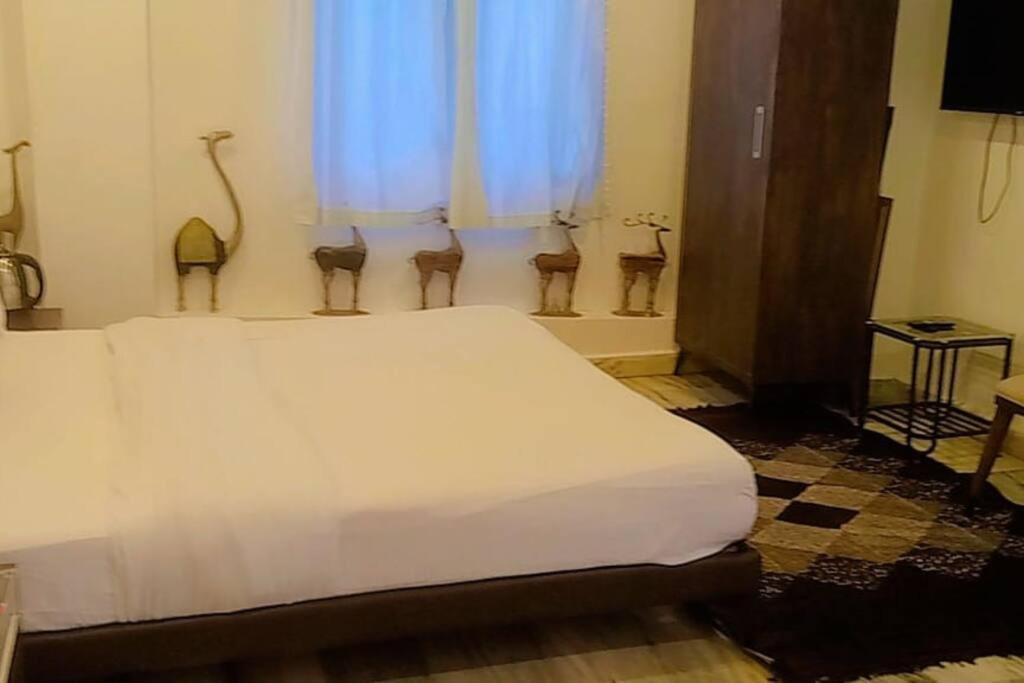 Valley Nest For 6-12 Pax Monte Abu Exterior foto